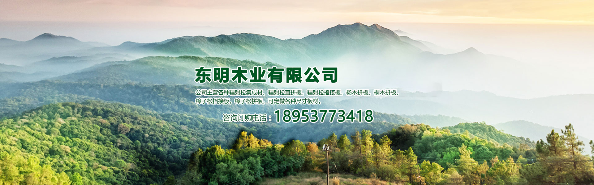 楊木拼板價(jià)格